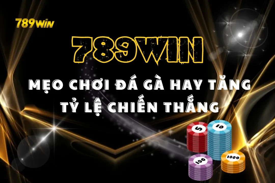 Mẹo Chơi Đá Gà 789Win – Bí Quyết Tăng Tỷ Lệ Thắng